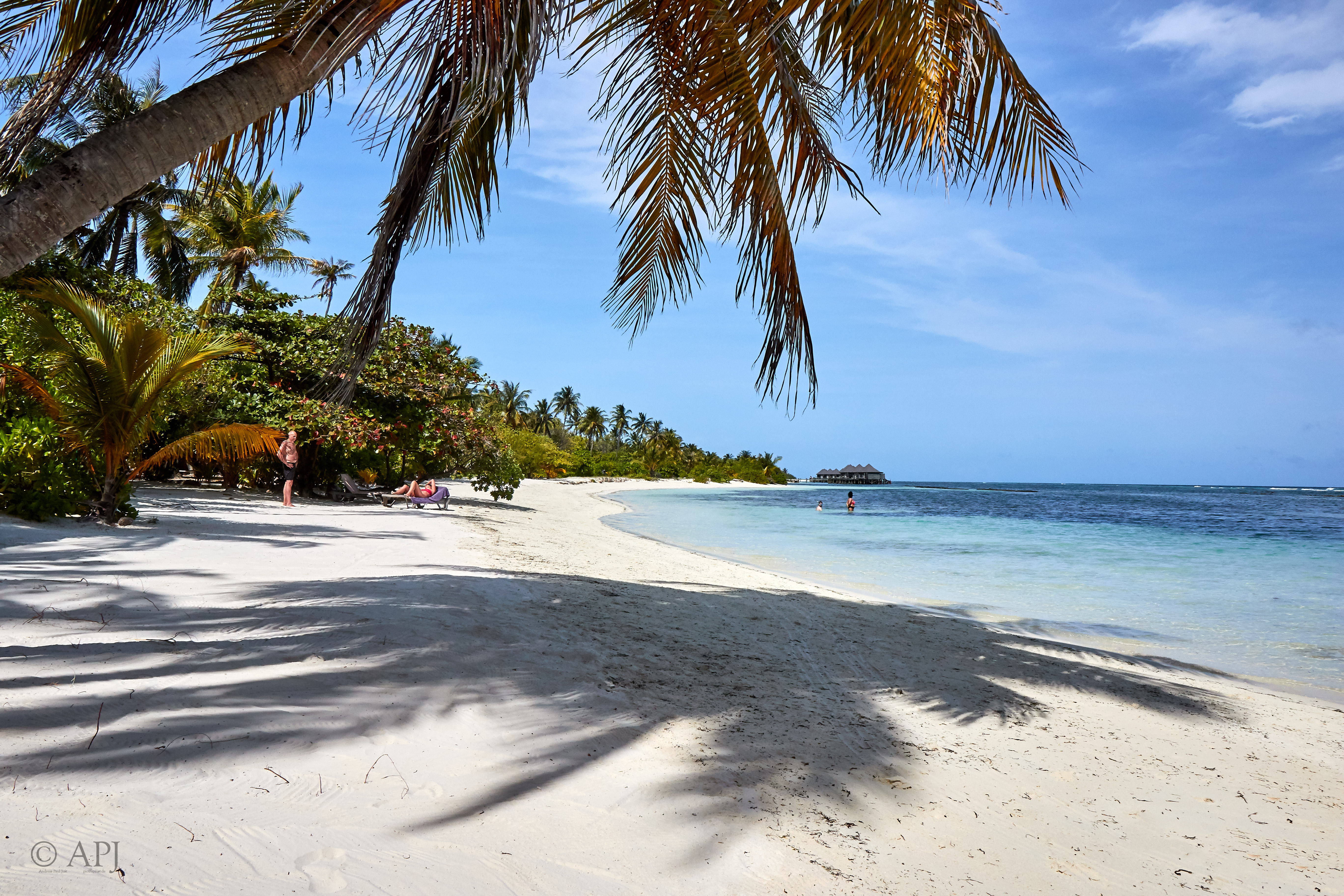 003887 21 08 17  Canon EOS 7D Mark II   Malediven2017